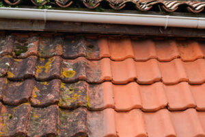roof & gutter clean - Newton Window Cleaners