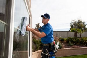 Newton Window Cleaning - Roof Cleaning