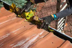 Gutter Cleaning Services - Newton Window Cleaning, MA