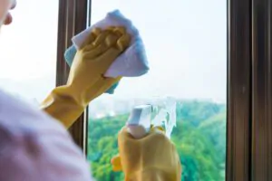 Clean the window glass properly - Newton Window Cleaning