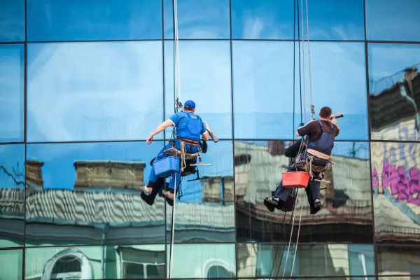 Professional Window Cleaning Services - Newton Window Cleaning