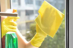 Special Window Cleaning Techniques - Newton Window Cleaners