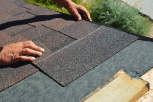 Ultimate Guide on How to Clean Shingle Roof - Newton Window Cleaning