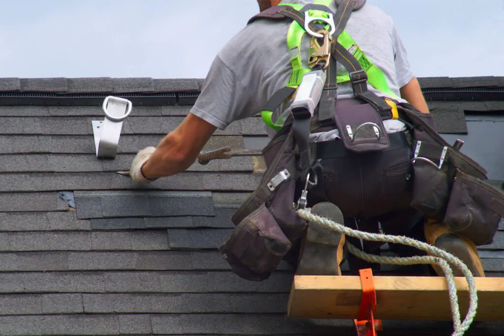 Importance of Cleaning Roof Shingles, Newton Window Cleaning